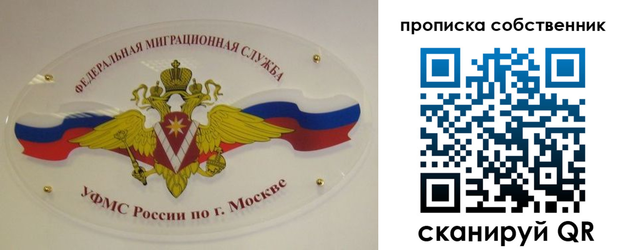прописка 2025 в Щучье